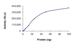 Sino Biological&nbsp;Recombinant Human c-MET/HGFR Protein (Y1230H, GST Tag), Active